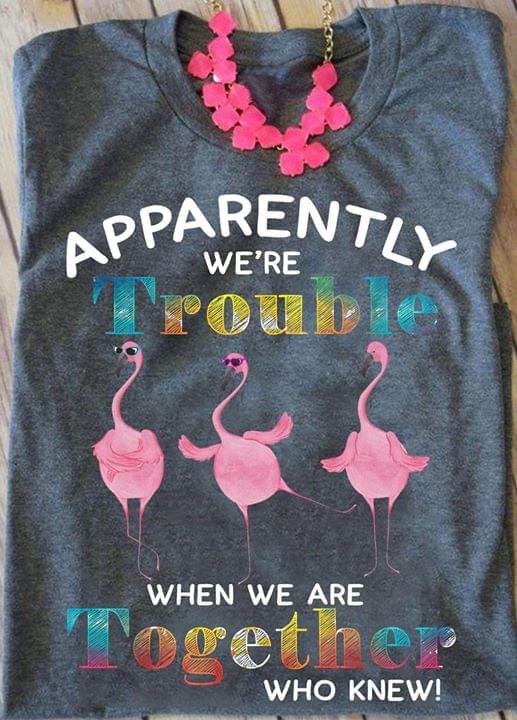 Apparebtly We're Trouble When We Are Together Shirt
