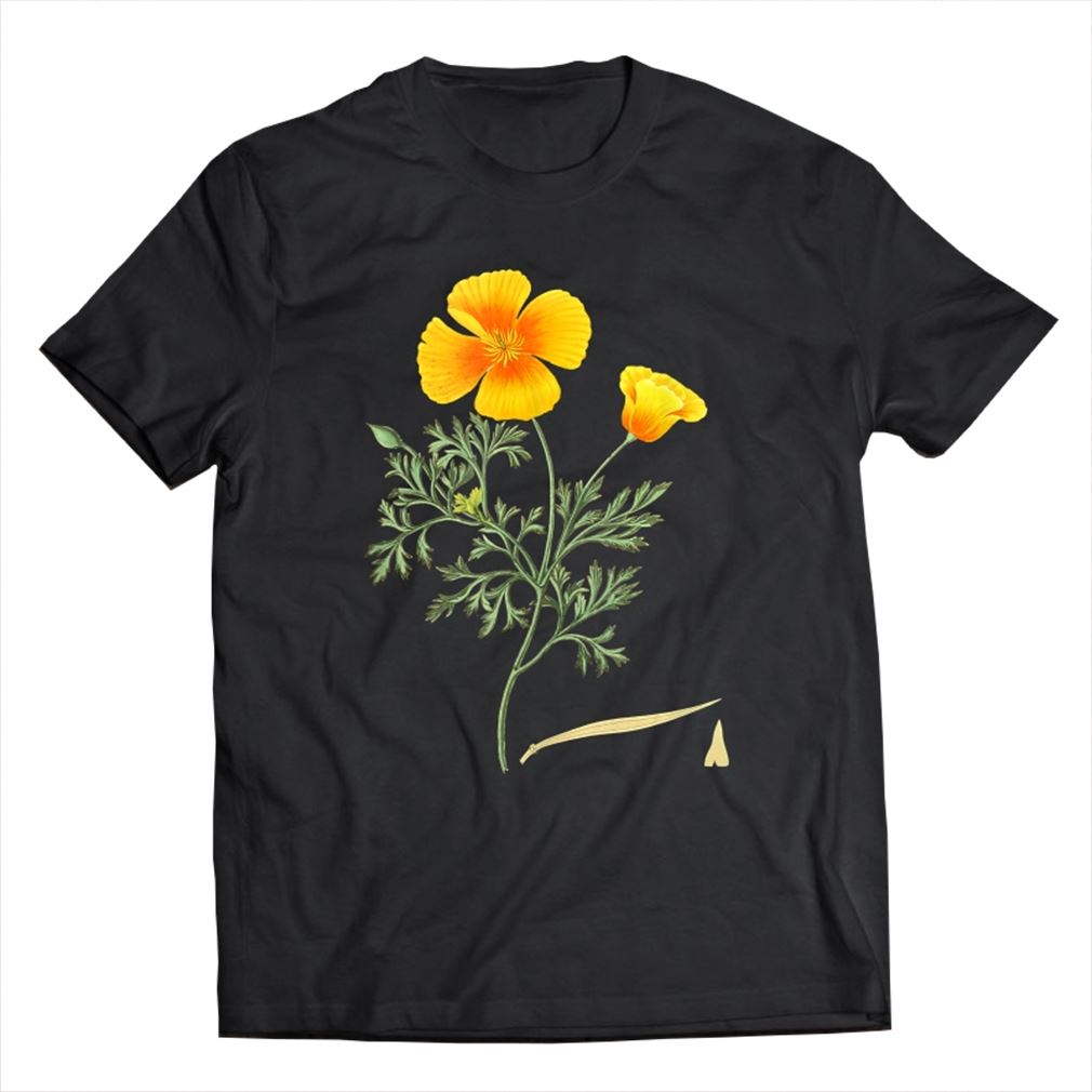 Californian Poppy Botanical Illustration Flower California