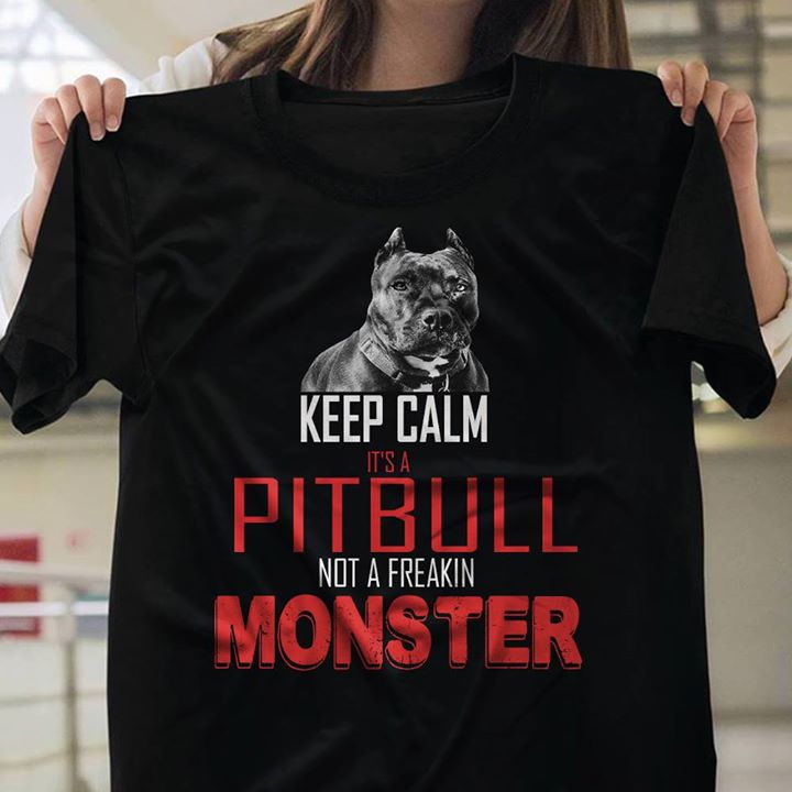 Dangerous Keep Calm It's A Pitbull Not A Freakin Monster Shirt