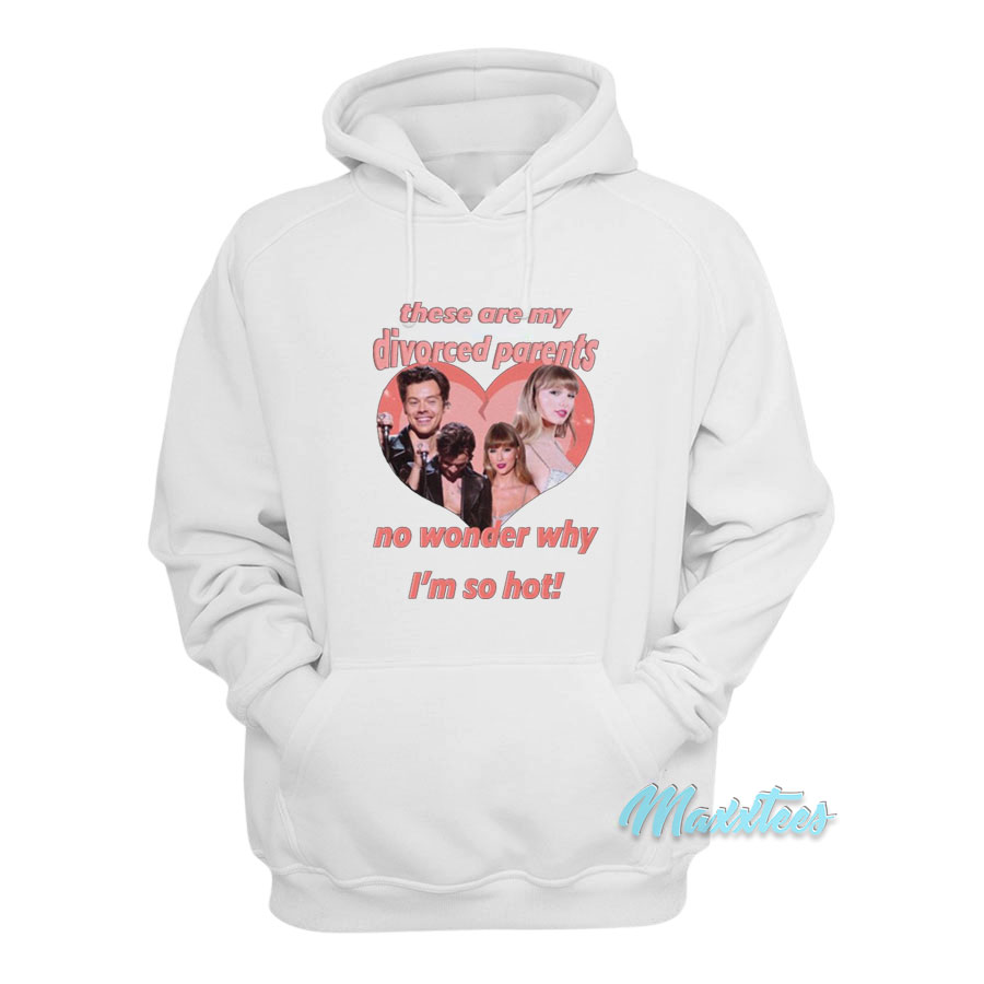 Haylor I Am A Child Of Divorce I'm So Hot Hoodie