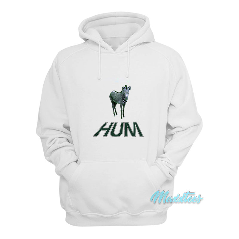 Hum Zebra You'd Prefer An Astronaut Hoodie