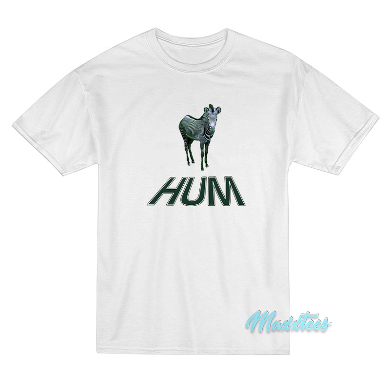 Hum Zebra You'd Prefer An Astronaut T-shirt