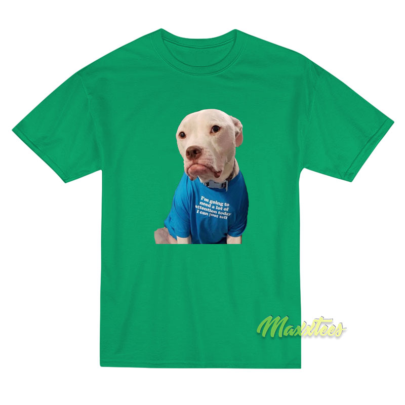 I'm Going To Need A Lot Of Attention Today T-shirt