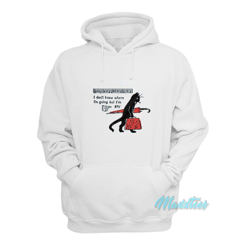 I Don't Know Where I'm Going But I'm Gay Cat Hoodie