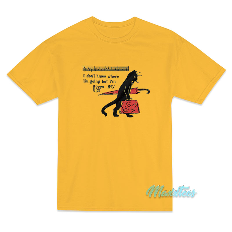 I Don't Know Where I'm Going But I'm Gay Cat T-shirt