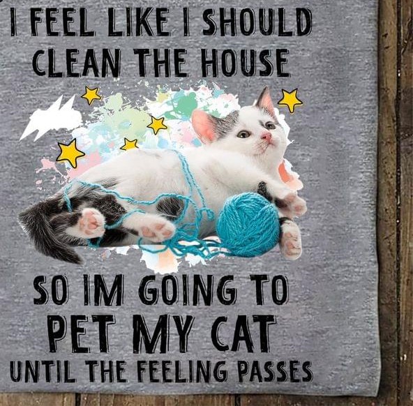 I Feel Like I Should Clean The House So I'm Going To Pet My Cat Until The Feeling Passes Cat And Wool Roll Shirt