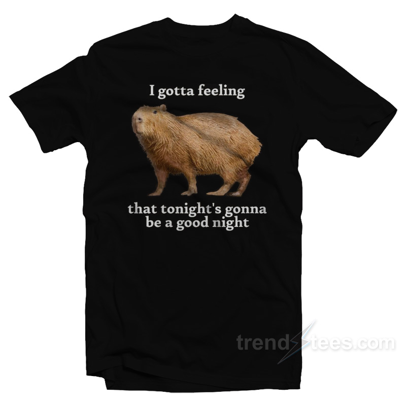 I Gotta Feeling That Tonight's Gonna Be A Good Night T-shirt