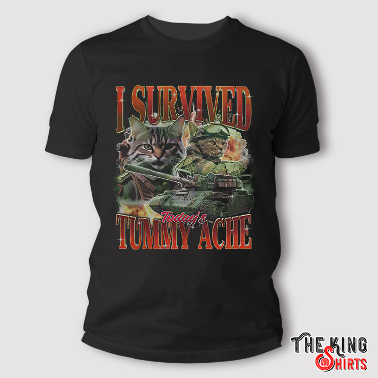 I Survived Today's Tummy Ache Shirt, Cat Meme