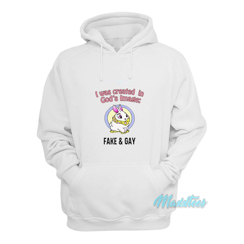 I Was Created In God's Image Fake And Gay Hoodie