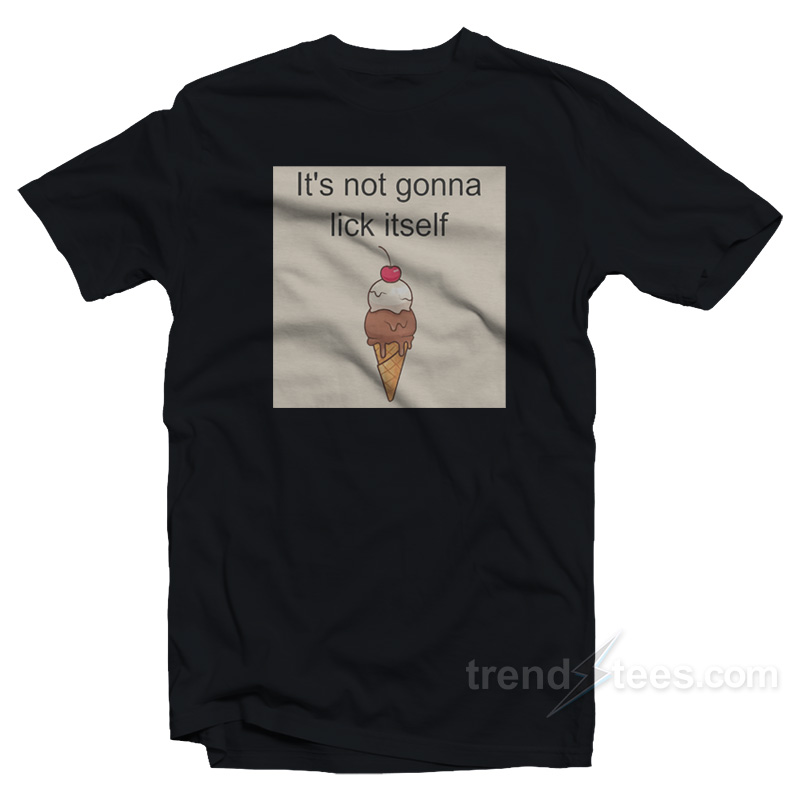 Ice Cream It's Not Gonna Lick Itself T-shirt
