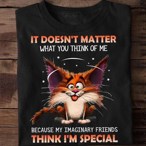 It Doesn't Matter What You Think Because My Imaginary Friends Think I'm Special Crazy Cat Shirt