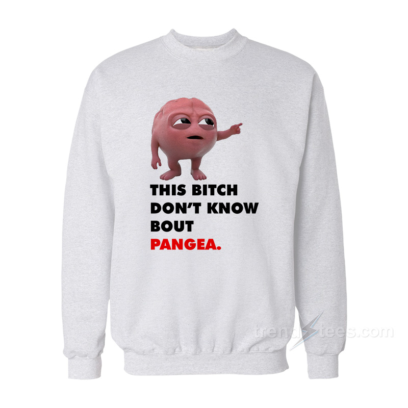 Lil Dicky Brain This Bitch Don't Know Bout Pangea Sweatshirt