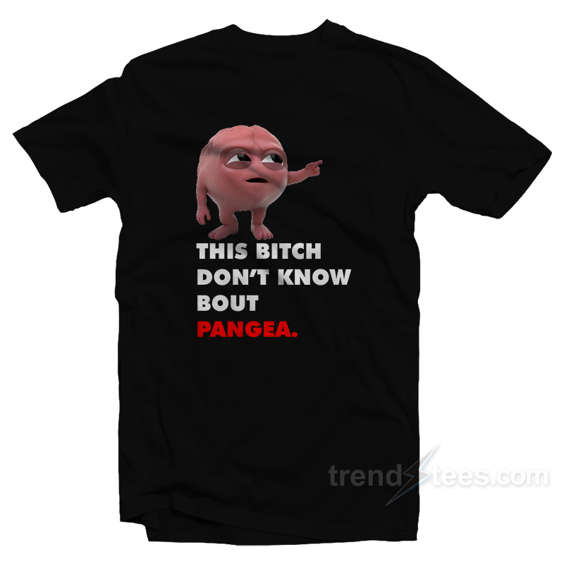 Lil Dicky Brain This Bitch Don't Know Bout Pangea T-shirt