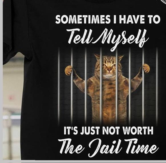 Sometimes I Have To Tell Myself It's Just Not Worth The Jail Time Cat In Prison Shirt