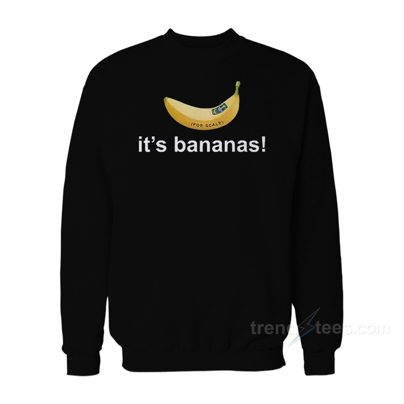 Spacex Starship Flight 6 It's Bananas Sweatshirt