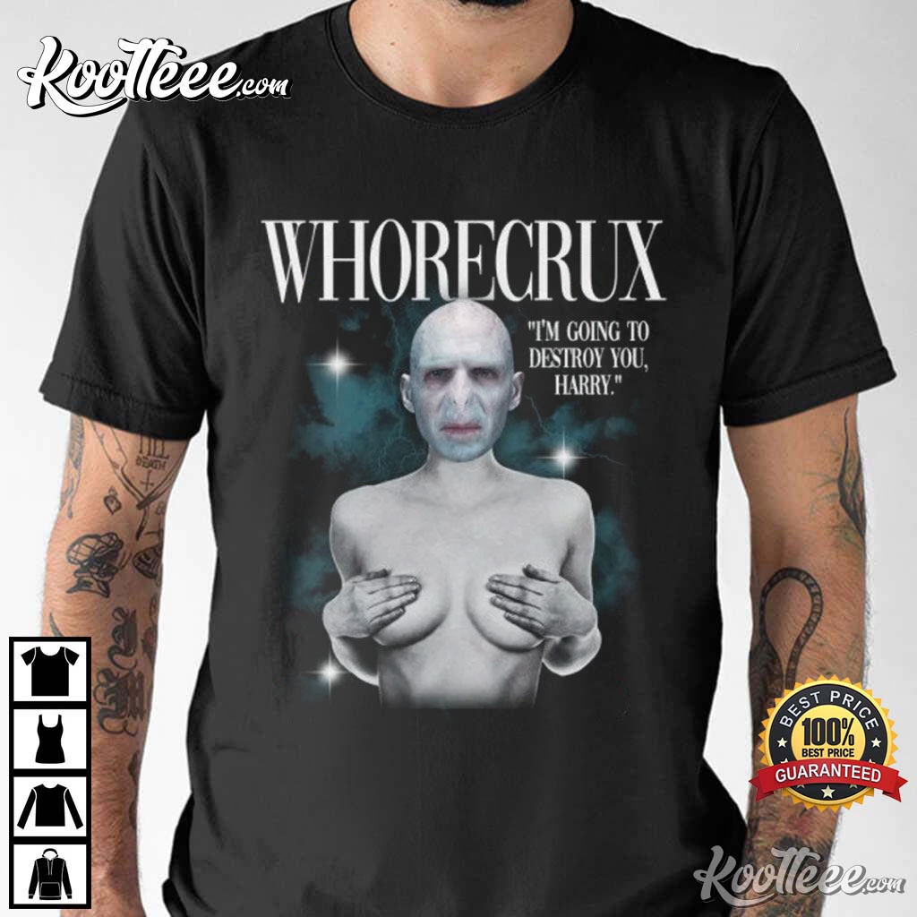 Voldemort I’m Going To Destroy You Harry Potter Funny T-shirt