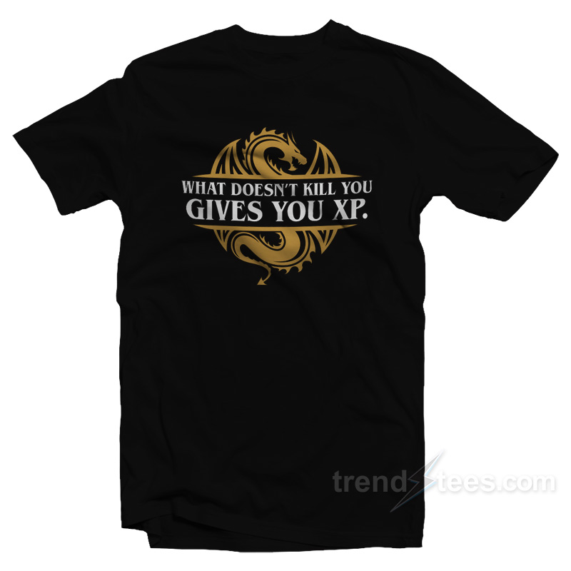 What Doesn't Kill You Gives You Xp T-shirt