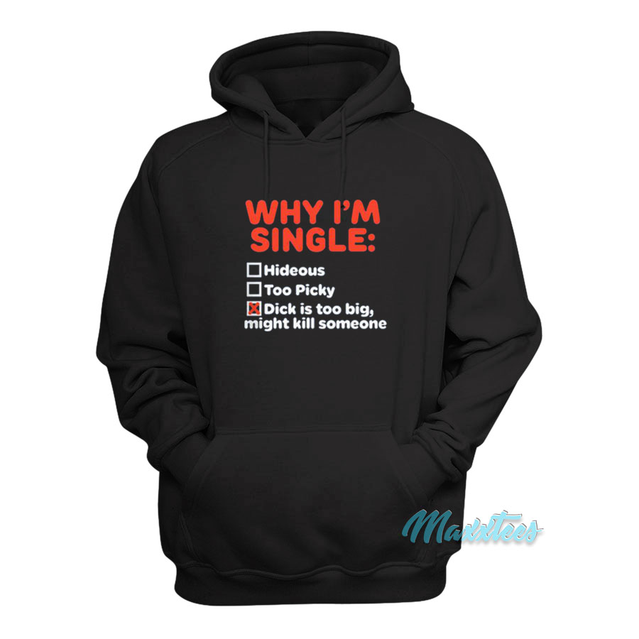 Why I'm Single Hideous Too Picky Dick Is Too Big Hoodie