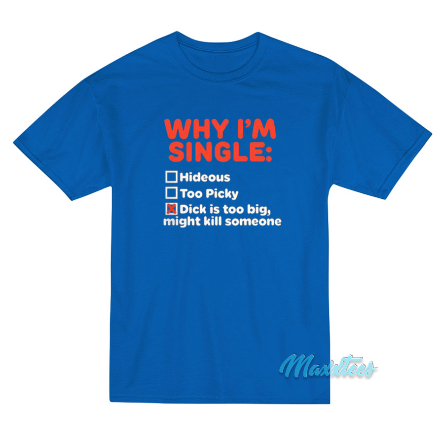 Why I'm Single Hideous Too Picky Dick Is Too Big T-shirt